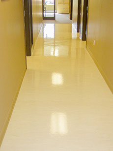 Beautiful, glistening office hallway after a high speed buffing.